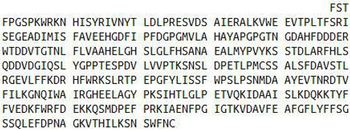 Rat Recombinant Matrix Metalloproteinase 3 (MMP3)