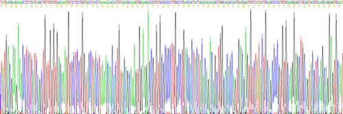 Human Eukaryotic Osteoprotegerin (OPG)