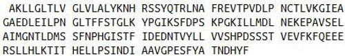 Rat Recombinant Paraoxonase 1 (PON1)