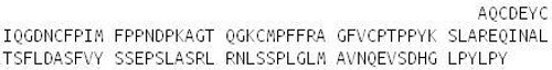 Human Recombinant Lactoperoxidase (LPO)