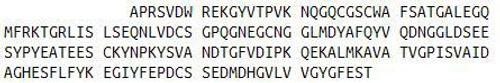 Human Recombinant Cathepsin L (CTSL)