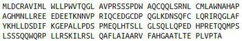 Mouse Recombinant Interleukin 23 (IL23)