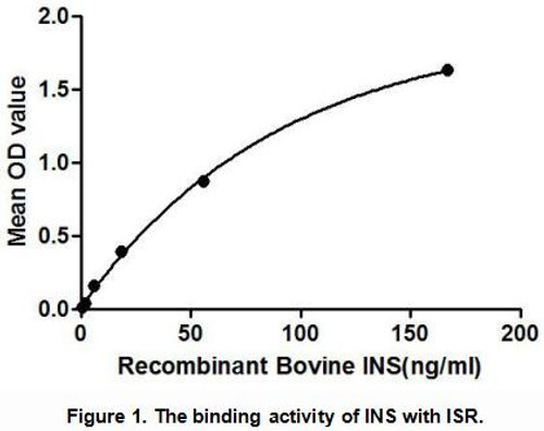 Cattle Active Insulin (INS)