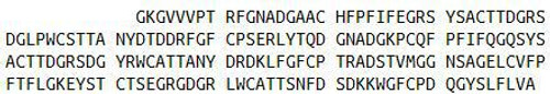 Human Recombinant Matrix Metalloproteinase 9 (MMP9)