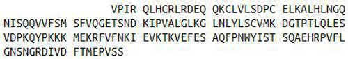 Rat Recombinant Interleukin 1 Beta (IL1b)