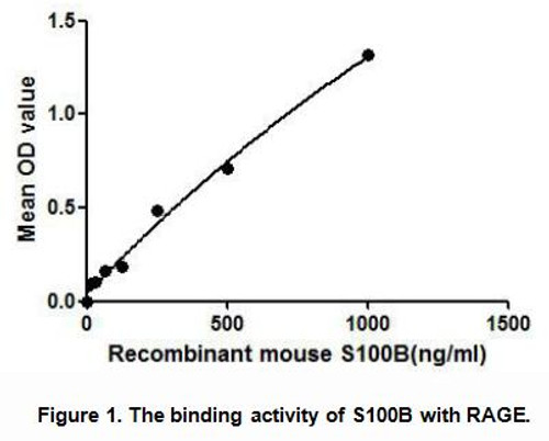 Mouse Active S100 Calcium Binding Protein B (S100B)