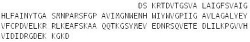 Rat Recombinant Aquaporin 4 (AQP4)