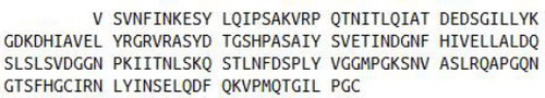 Human Recombinant Slit Homolog 2 (Slit2)