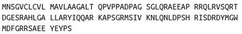 Human Recombinant Cholecystokinin (CCK)