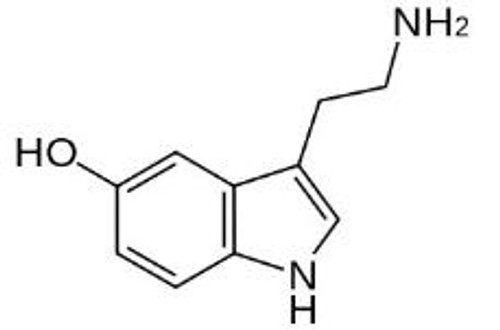 OVA Conjugated 5-Hydroxytryptamine (5-HT)