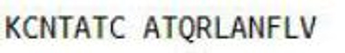 Rat OVA Conjugated Islet Amyloid Polypeptide (IAPP)