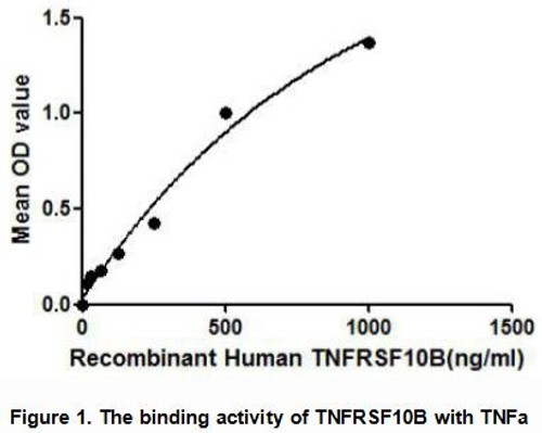 Human Active Tumor Necrosis Factor Receptor Superfamily, Member 10B (TNFRSF10B)