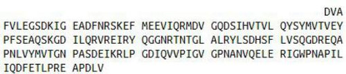 Human Recombinant Von Willebrand Factor (vWF)