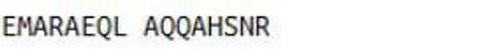 Mouse KLH Conjugated Corticotropin Releasing Hormone (CRH)