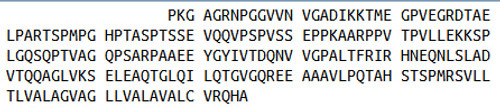 Human Recombinant Protein Tyrosine Phosphatase Receptor Type N (PTPRN)