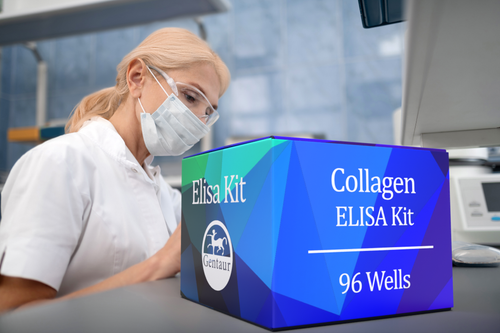 Collagen Elisa