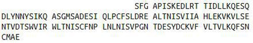 Mouse Recombinant Interleukin 31 (IL31)