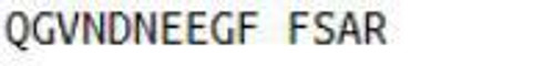 Human KLH conjugated Fibrinopeptide B (FPB)