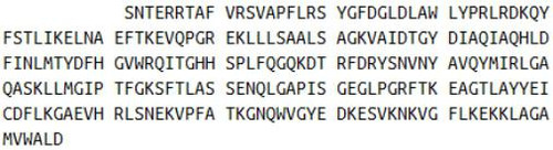 Mouse Recombinant Glycoprotein 39, Cartilage (GP39)