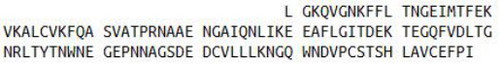 Human Recombinant Mannose Binding Lectin (MBL)