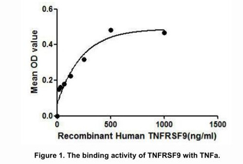 Human Active Tumor Necrosis Factor Receptor Superfamily, Member 9 (TNFRSF9)