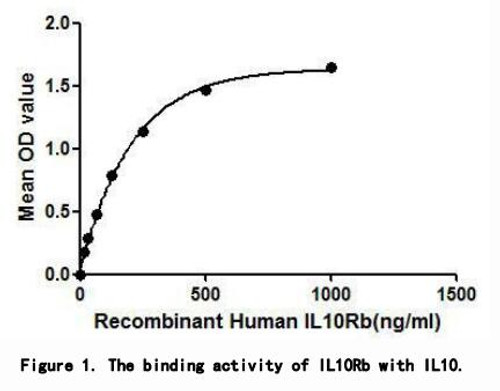 Human Active Interleukin 10 Receptor Beta (IL10Rb)