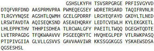 Human Recombinant Major Histocompatibility Complex Class I E (MHCE)