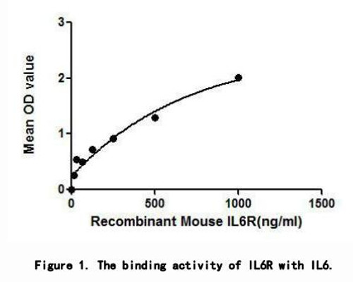 Mouse Active Interleukin 6 Receptor (IL6R)