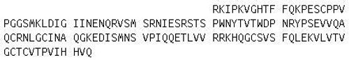 Human Recombinant Interleukin 17F (IL17F)