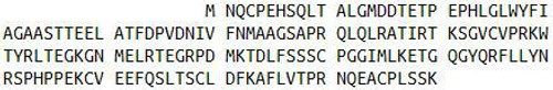 Mouse Recombinant Apolipoprotein M (APOM)