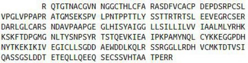 Human Recombinant Low Density Lipoprotein Receptor Related Protein 4 (LRP4)