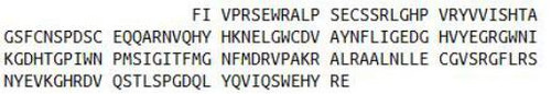 Mouse Recombinant Peptidoglycan Recognition Protein 1 (PGLYRP1)