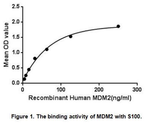 Human Active Mdm2 p53 Binding Protein Homolog (MDM2)