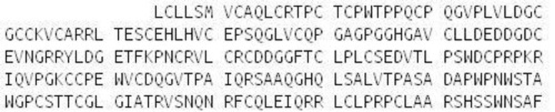 Rat Recombinant WNT1 Inducible Signaling Pathway Protein 2 (WISP2)