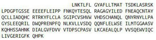 Human Recombinant Tumor Protein p53 Binding Protein 1 (TP53BP1)