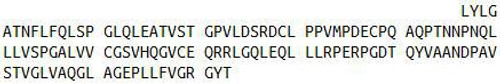 Human Recombinant Plexin B1 (PLXNB1)