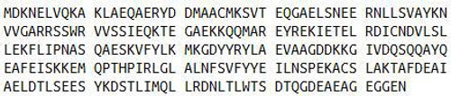 Human Recombinant Tyrosine 3/Tryptophan 5 Monooxygenase Activation Protein Zeta (YWHAz)