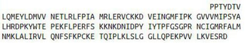 Human Recombinant Cytochrome P450 3A7 (CYP3A7)