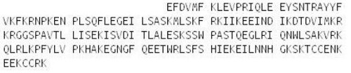 Human Recombinant Mab21 Domain Containing Protein 1 (MB21D1)