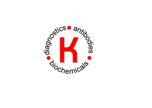 Monoclonal Antibody Against Human HSP90 alpha [K41233] | MC-1053