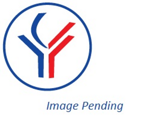 C-Myc Antibody from Fabgennix