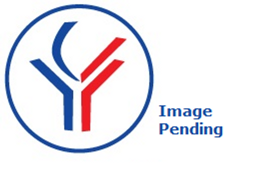 MeCP2 isoform 1 Blocking Peptide from Fabgennix