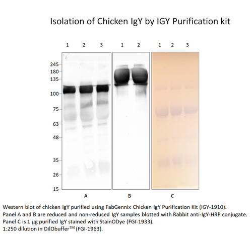 Chicken IgY Purification Kit (10 Egg yolks) from Fabgennix