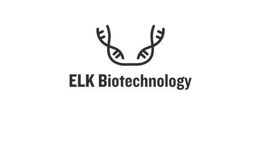Rat UCP2 (Uncoupling Protein 2, Mitochondrial) ELISA Kit