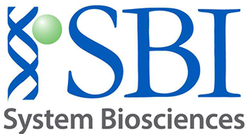 AAVS1 Safe Harbor Targeting Vector 2.0 - Reporter Knock-in Donor (AAVS1-SA-puro-MCS-GFP), Complete Kit with CAS601A-1 (Cas9 SmartNuclease AAVS1-gRNA Targeting Vector) and GE640PR-1 (Junction PCR Primer Mix to confirm AAVS1 integration site)