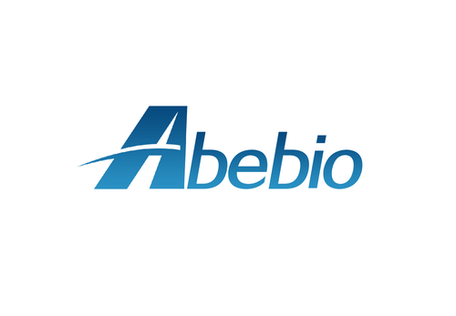 Rabbit Anti-brain tissue antibody (ABAb) ELISA Kit