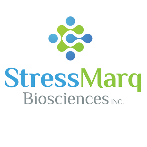 Chk1 Antibody (pSer280)- Streptavidin