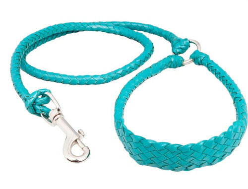 Badgery Belts Dog Lead in Teal
