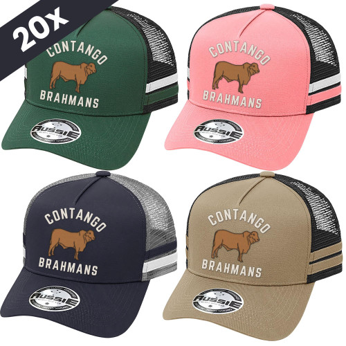  20 Trucker Caps Free Logo Embroidery and Free Freight 