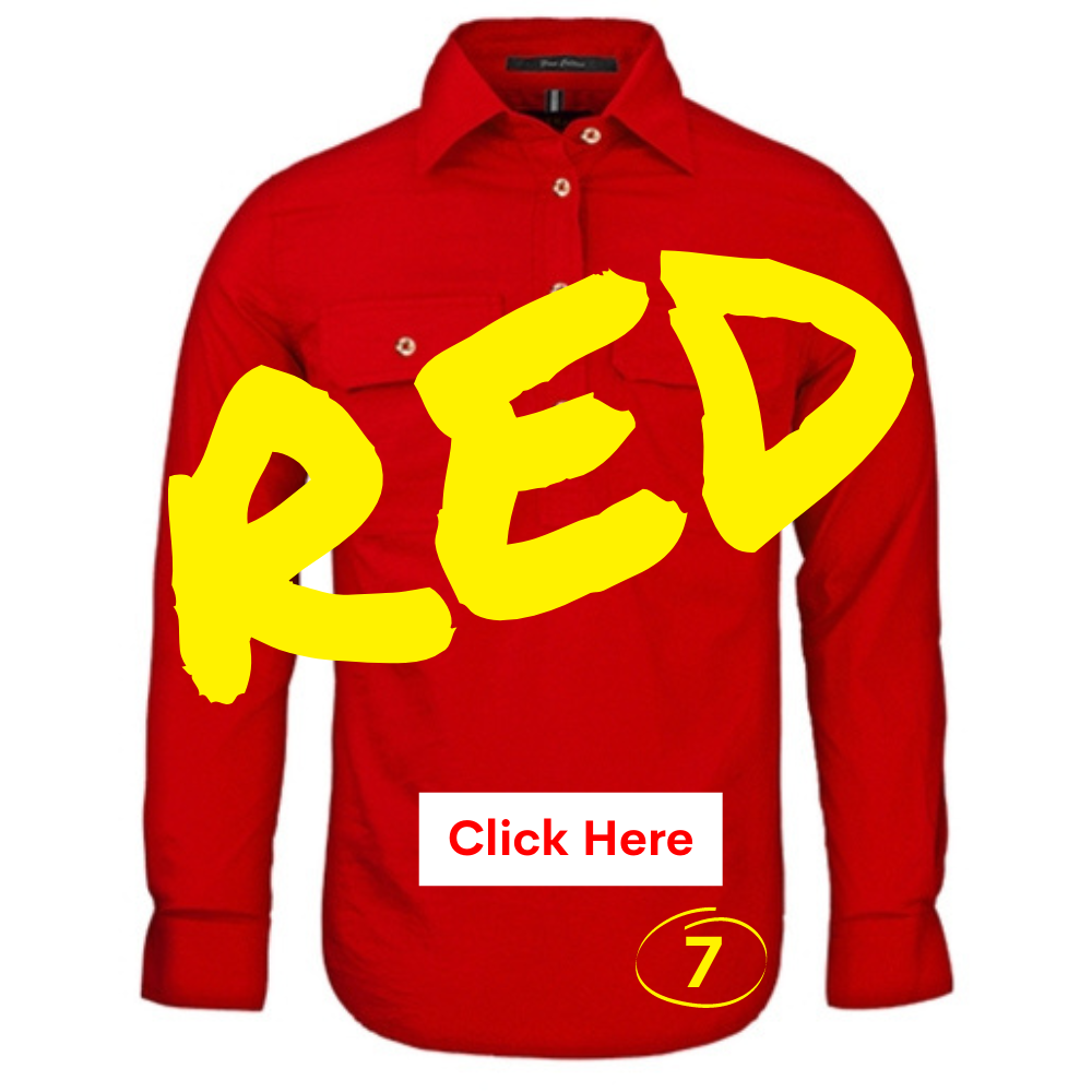 Ladies Embroidery Shirts